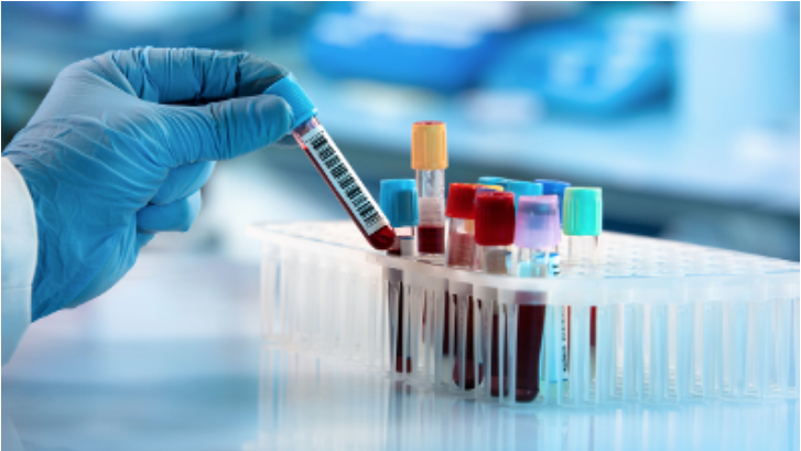 Schermata 2025-09-04 alle 15.17.14 https://www.humanmedica.it/wp-content/uploads/2025/09/Schermata-2025-09-04-alle-15.17.14.png